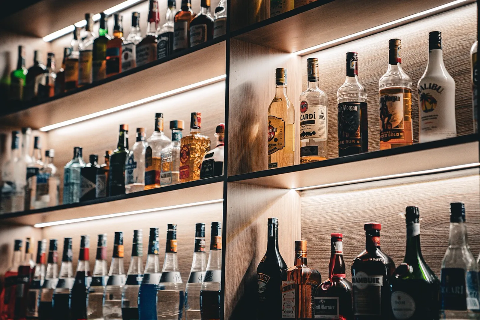 Port of San Fransokyo Cerveceria: Illuminated shelves filled with liquor bottles behind a bar.