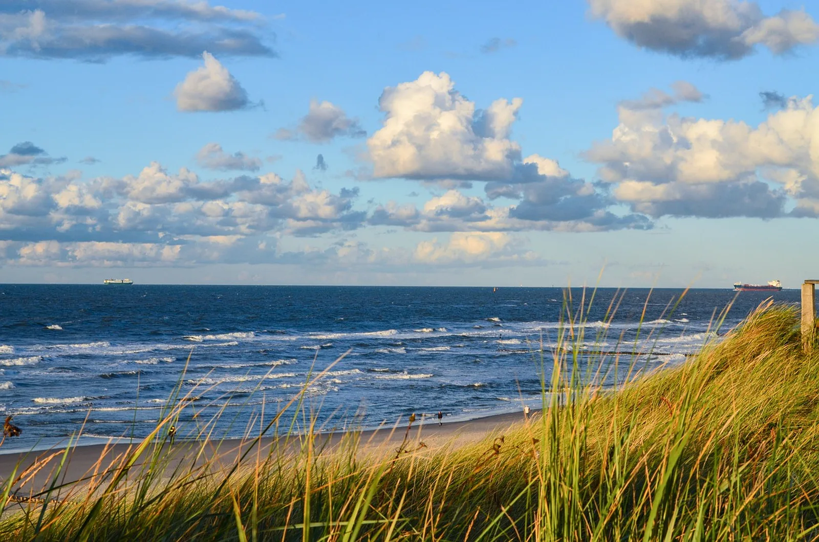 Serenity Bay Beach: Ocean waves roll onto a sandy beach past grassy sand dunes under a cloudy blue sky.