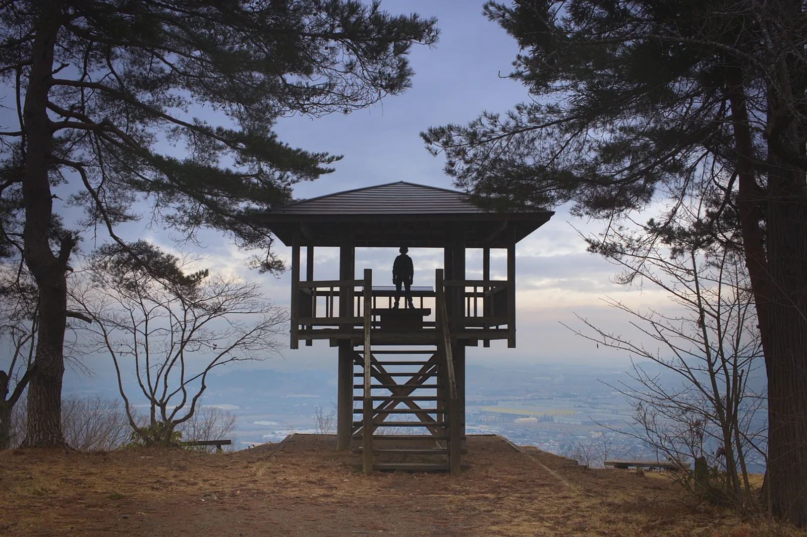 Beetle Bounce: A silhouetted person stands inside a wooden observation tower overlooking a distant valley.