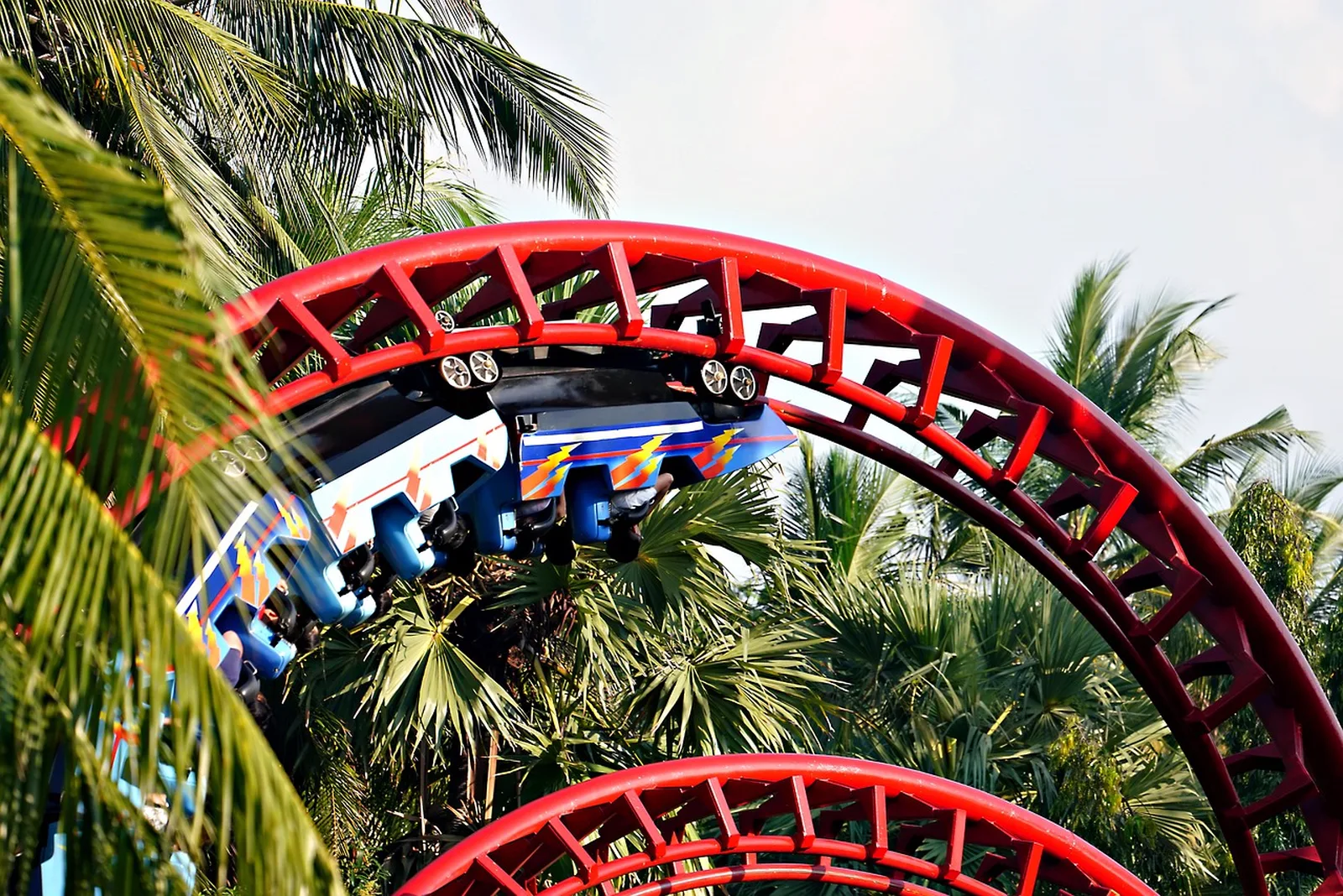 Expedition Everest: Legend of the Forbidden Mountain: A red roller coaster train carrying passengers loops upside down through tropical palm trees.