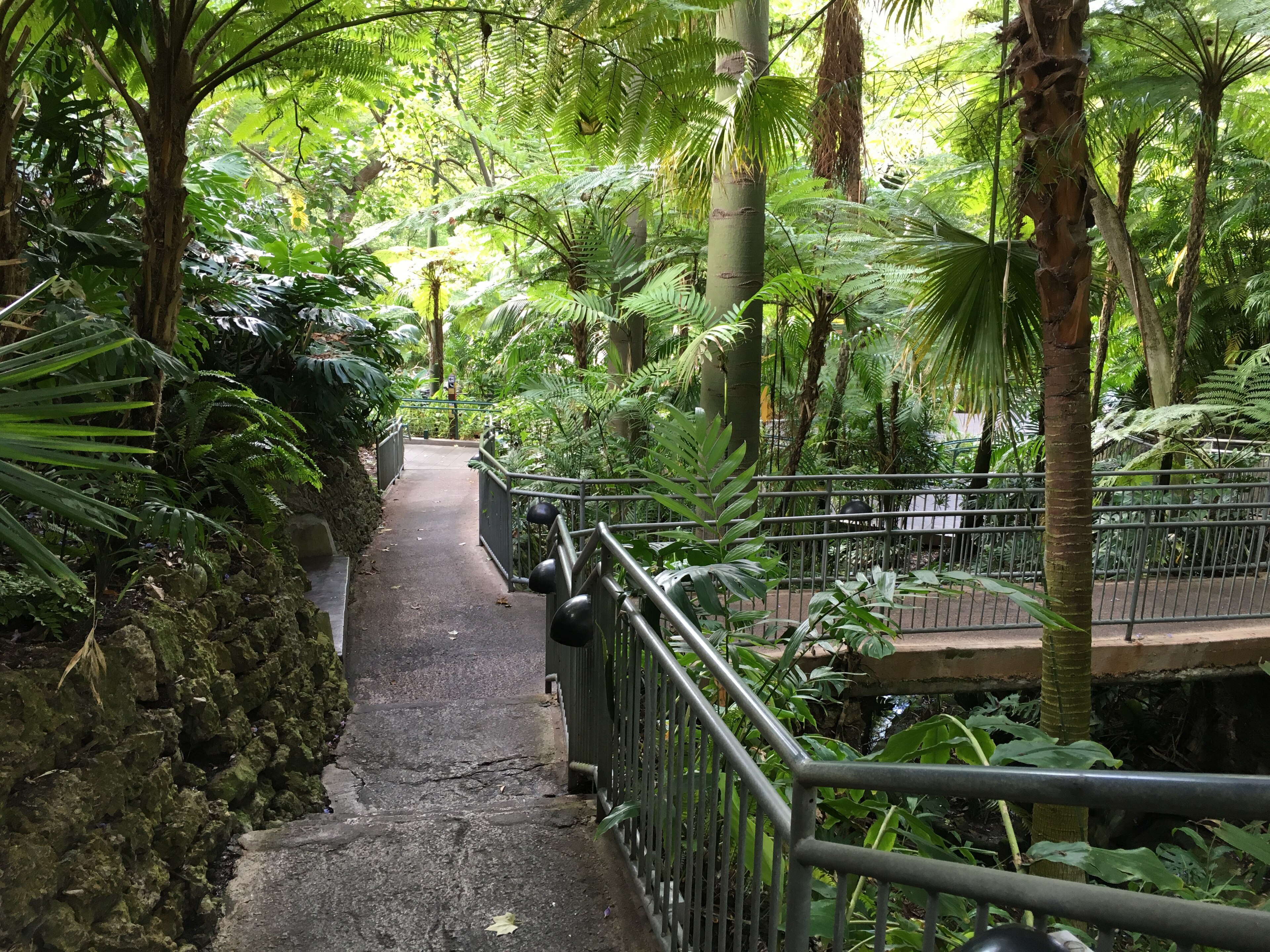 San Diego Zoo
