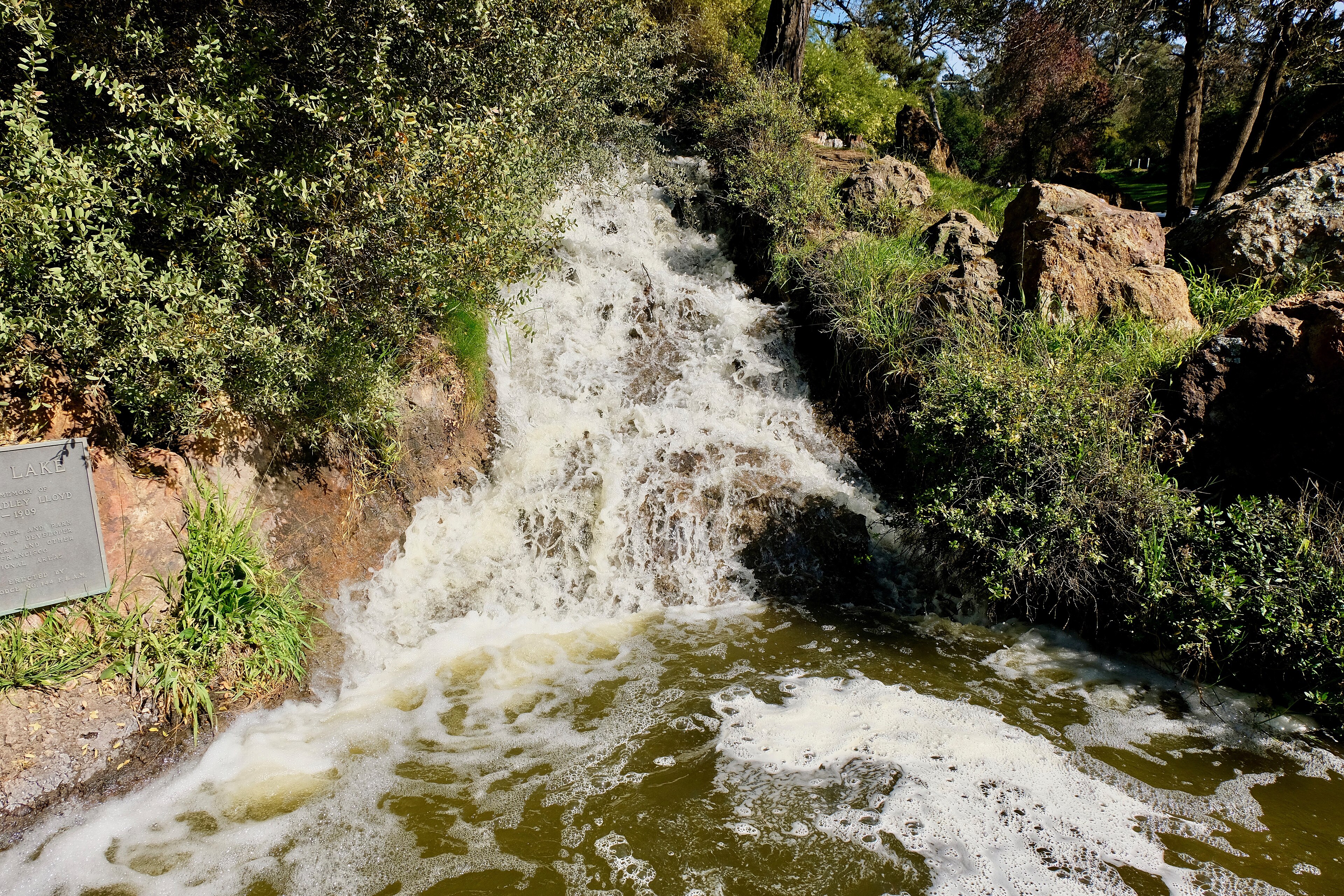 Golden Gate Park