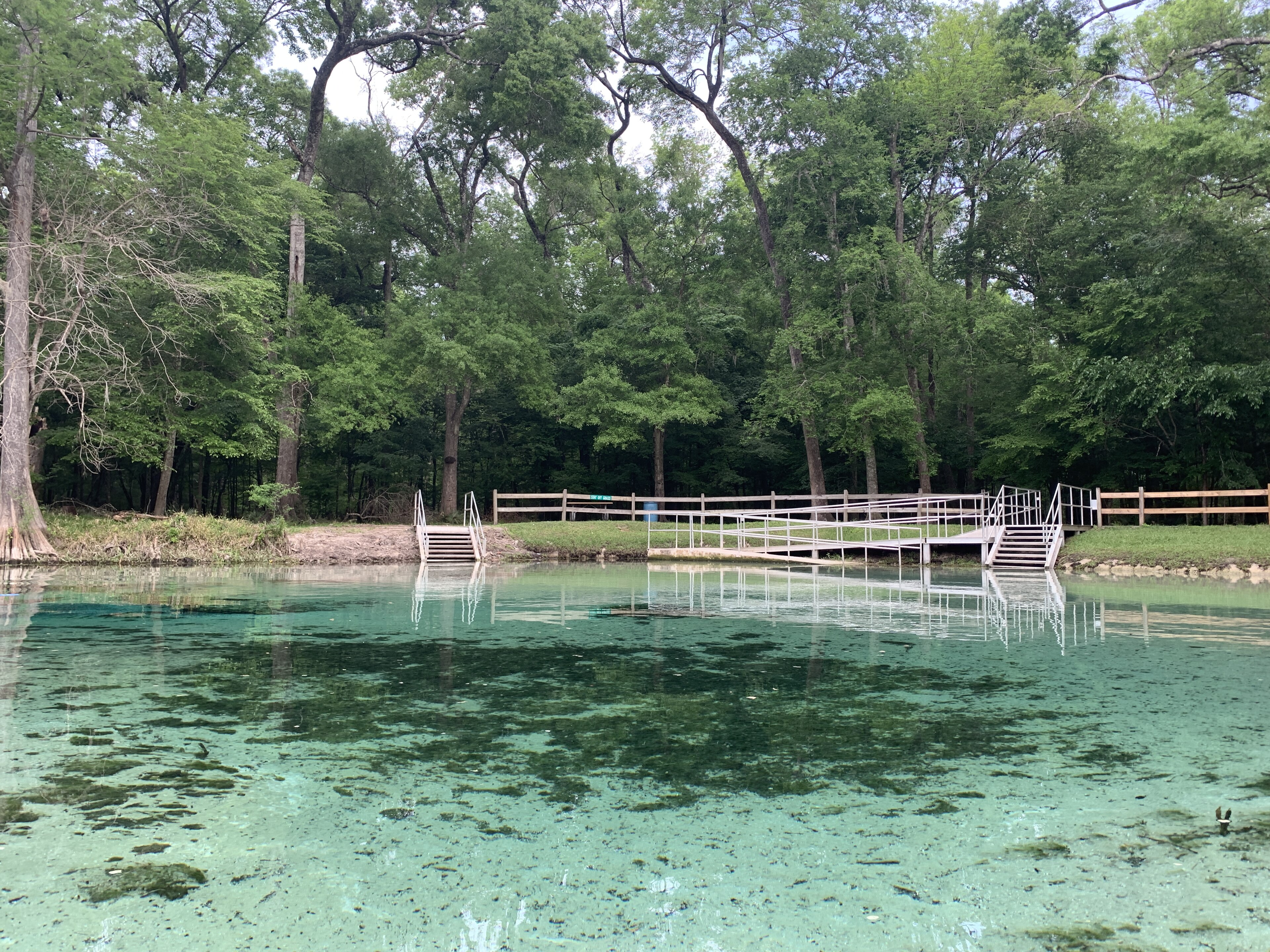 Ginnie Springs