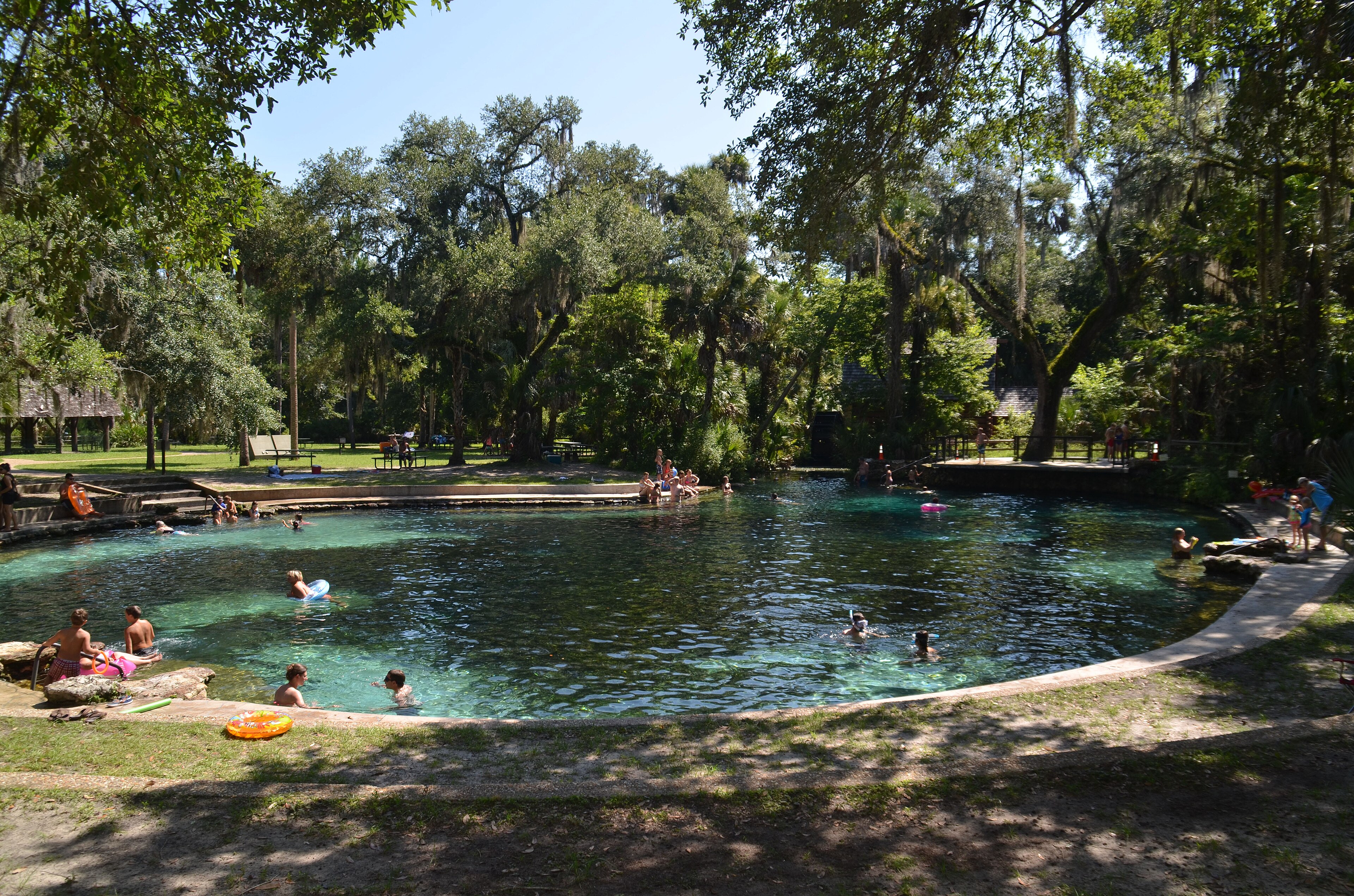 Ocala National Forest