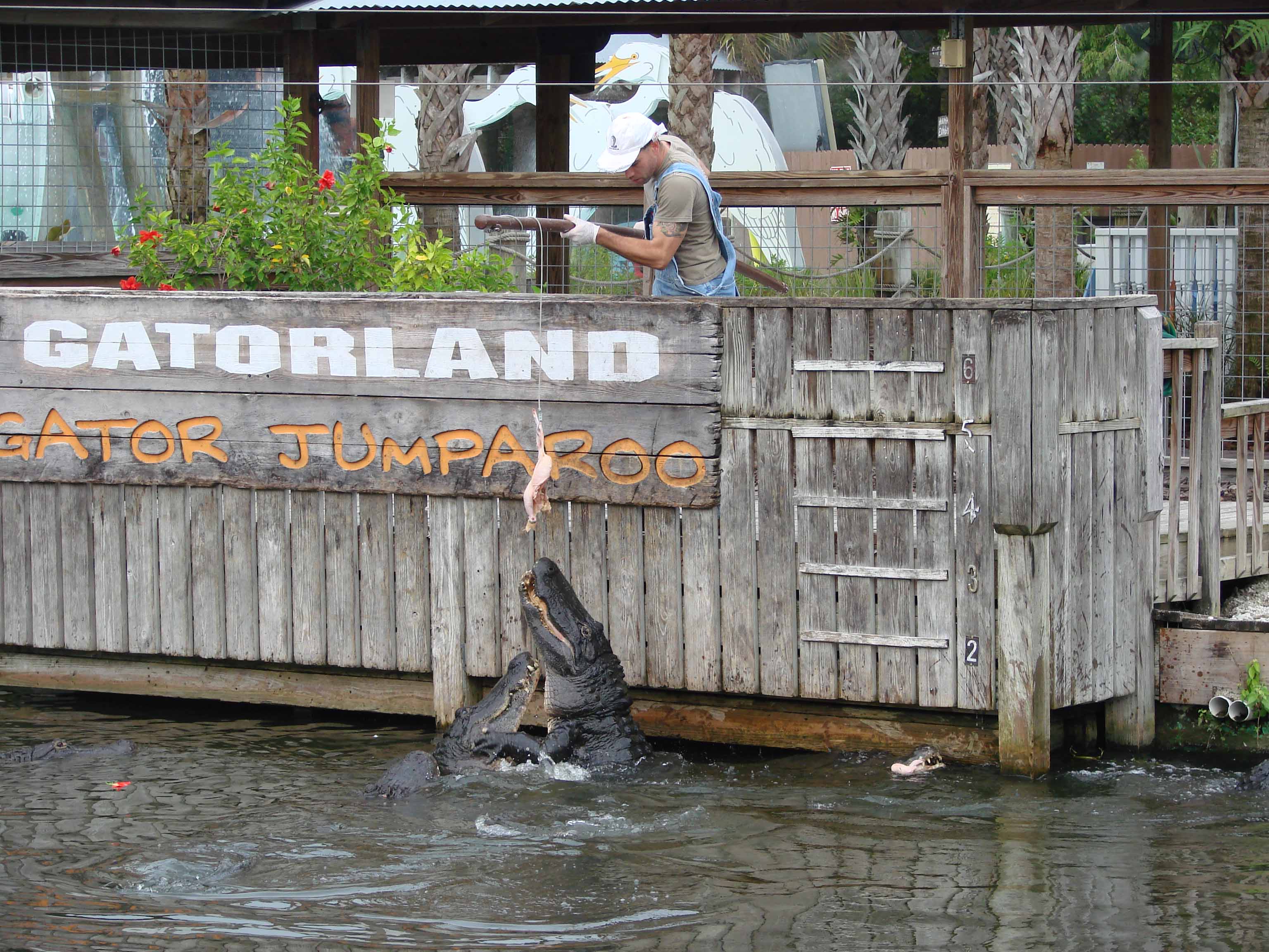 Gatorland