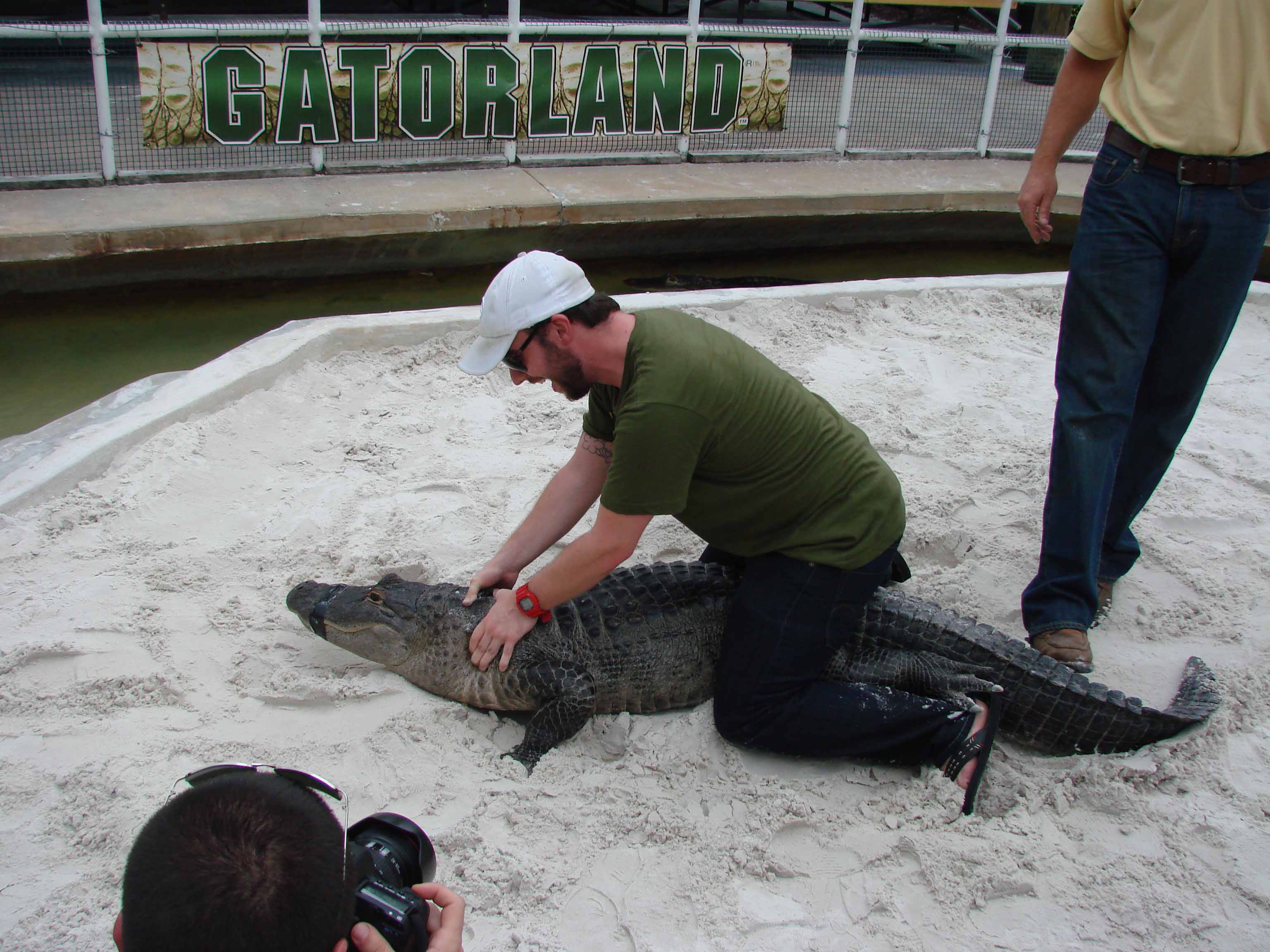 Gatorland