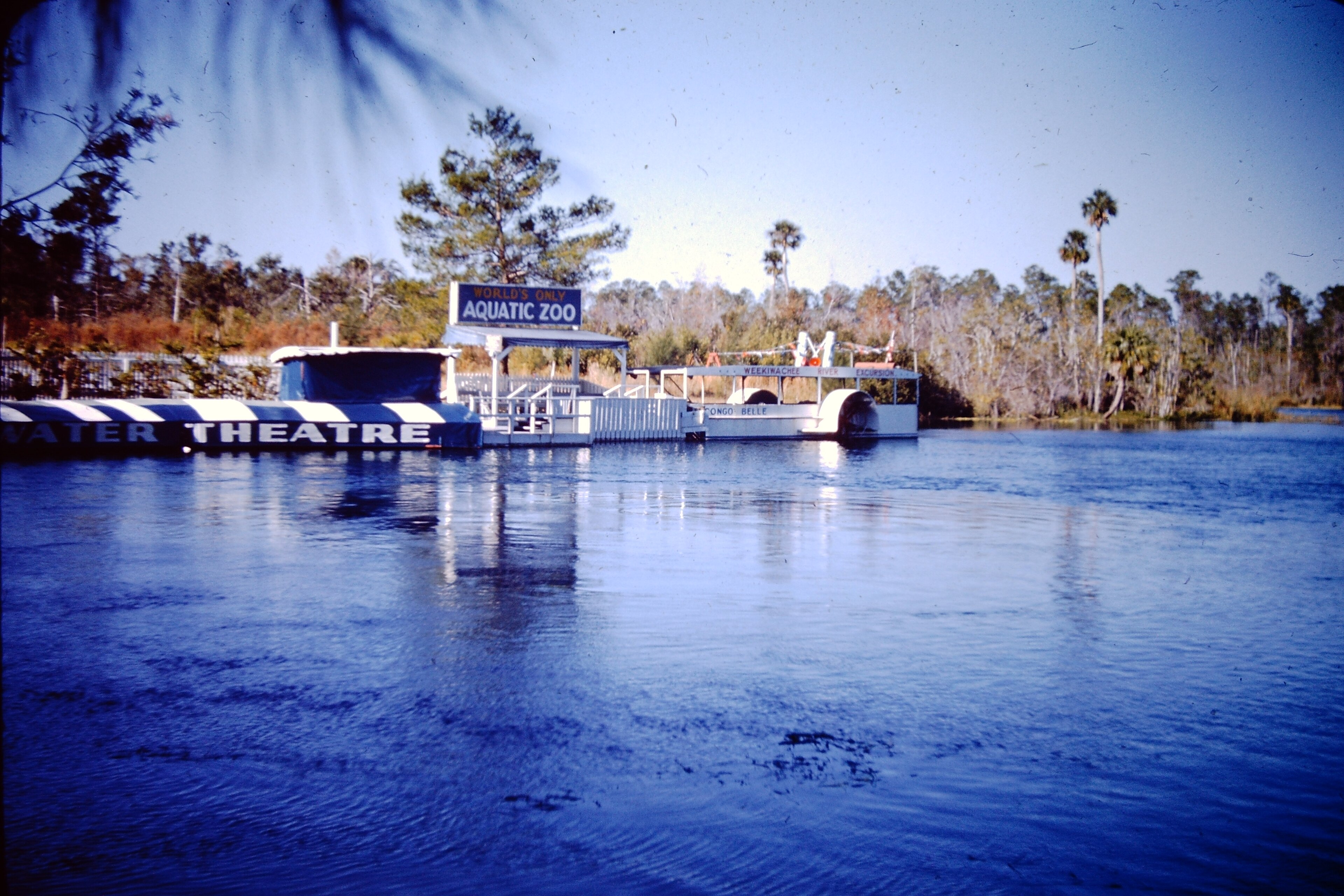 Weeki Wachee Springs State Park