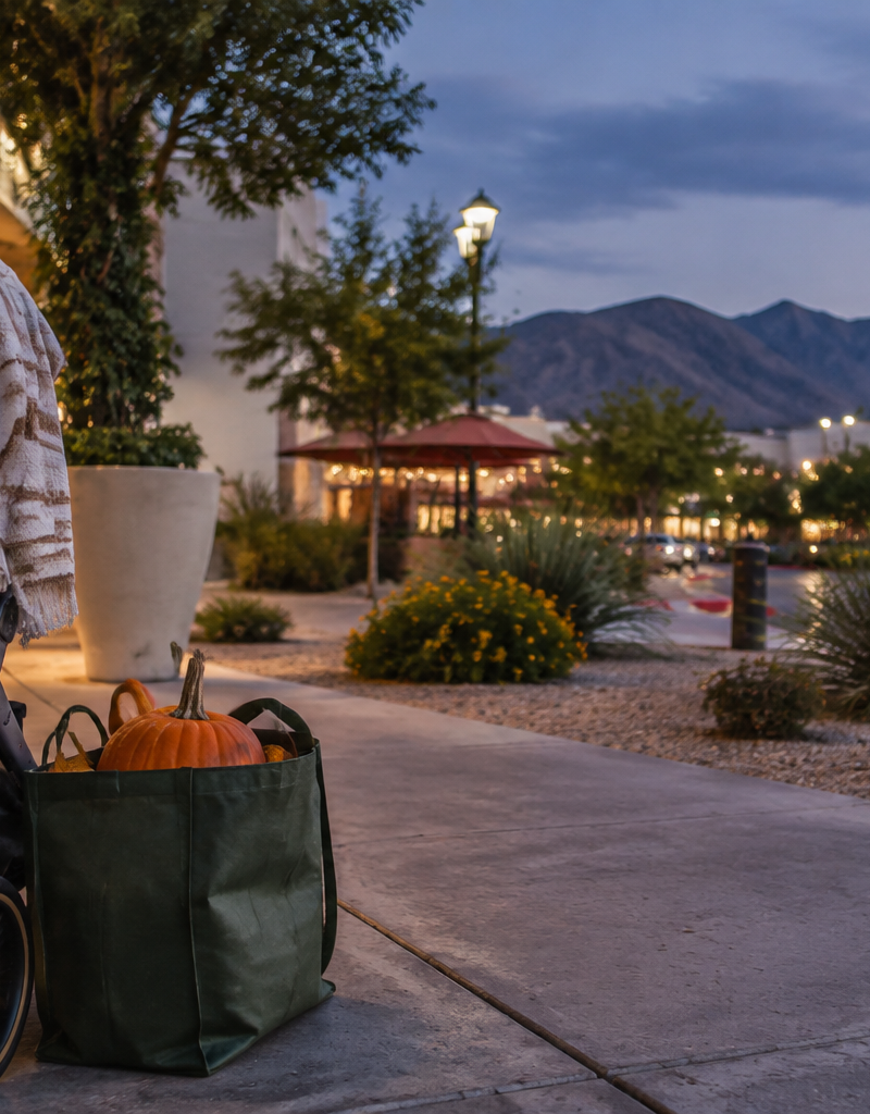 Boca Park’s Pumpkin Patch: What Las Vegas Parents Should Check Before Going