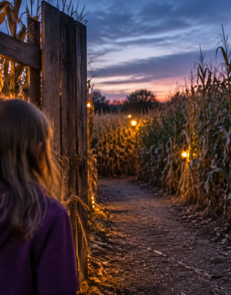 Haunted or Daytime Corn Maze? How to Choose the Right Scare Level for Your Kids