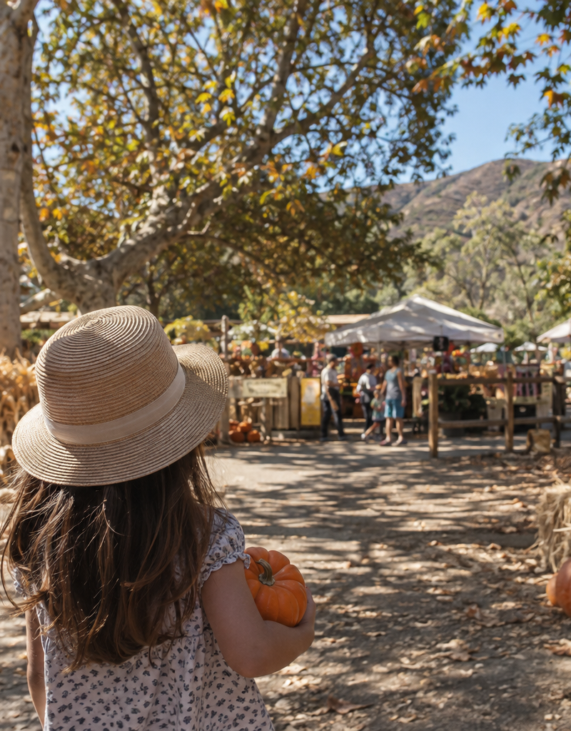 How to Build a Pumpkin Patch Day at Irvine Regional Park