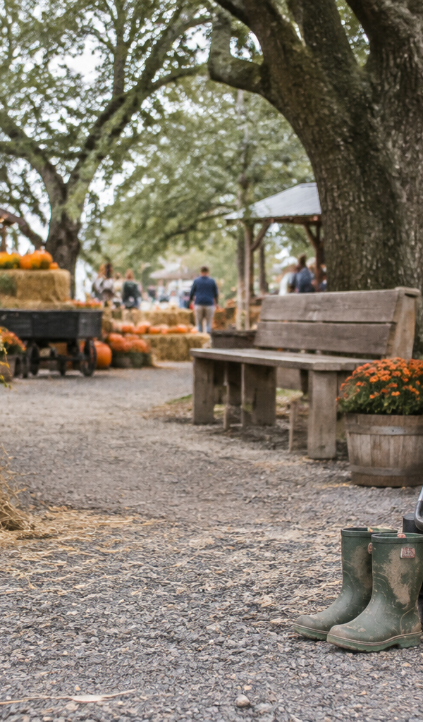 How to Choose a Houston-Area Pumpkin Patch for Younger Kids