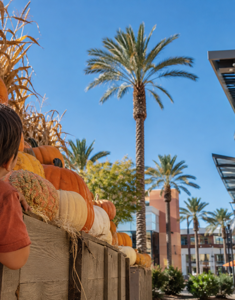 Las Vegas Pumpkin Outings for Families Who Want a Short Visit