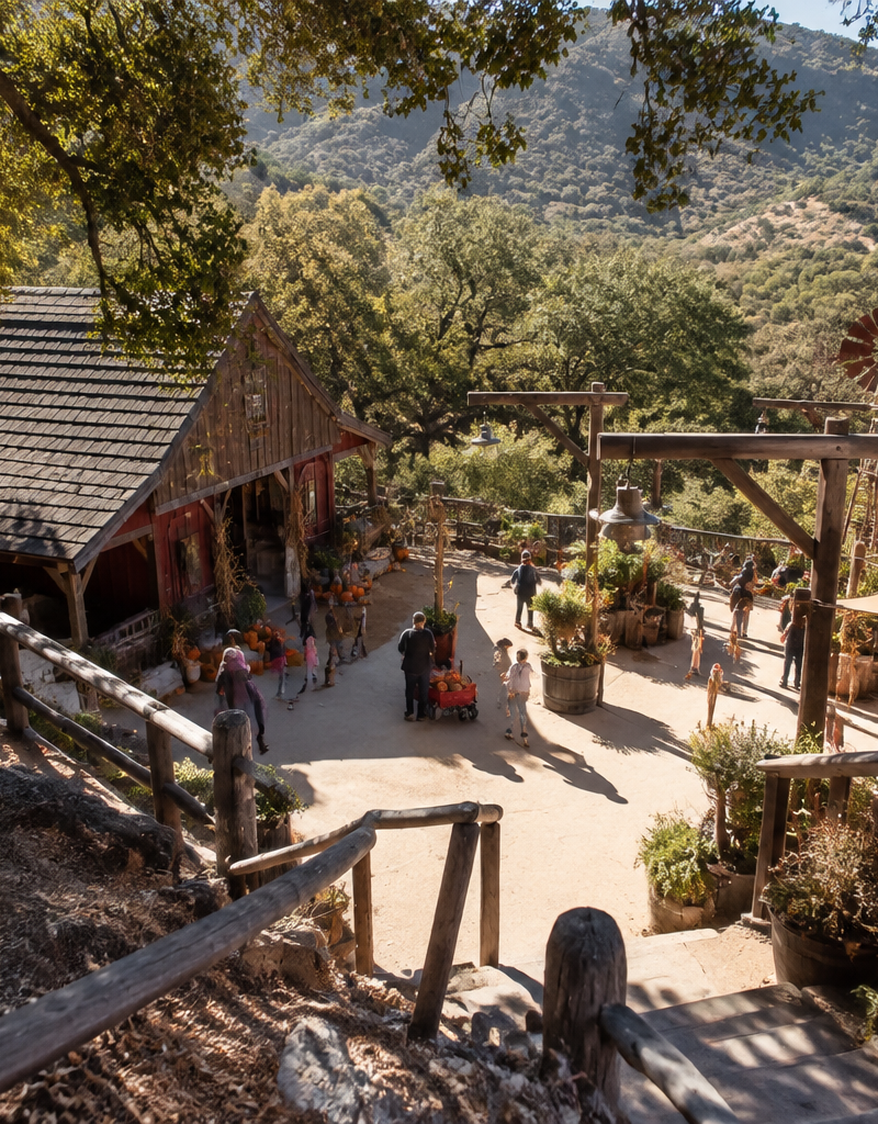 Live Oak Canyon With Kids: What to Know Before a Southern California Pumpkin Outing