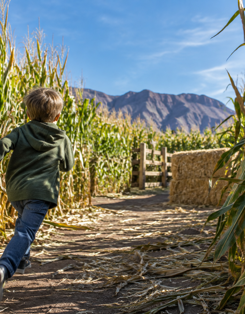Moapa Valley Corn Maze: Planning a Nevada Farm Day With Kids