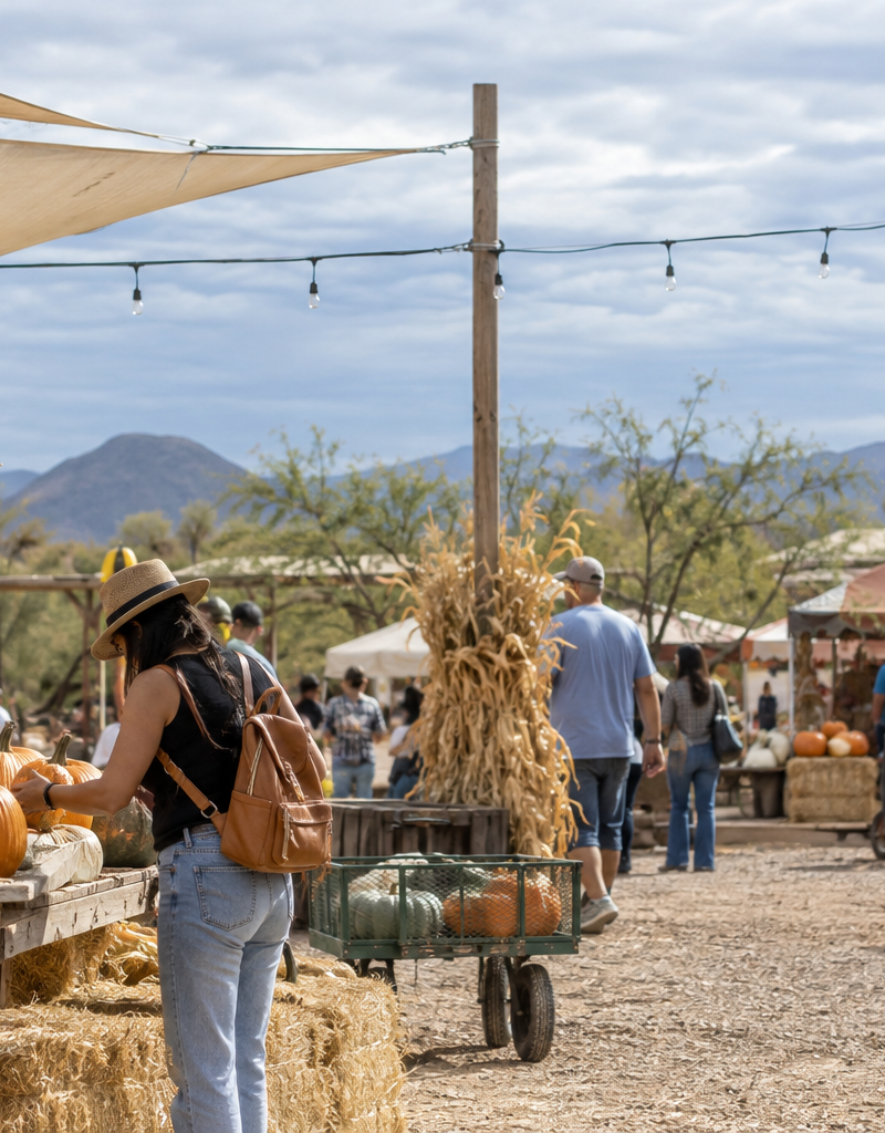 Planning a Family Day at Marana Pumpkin Patch in Arizona