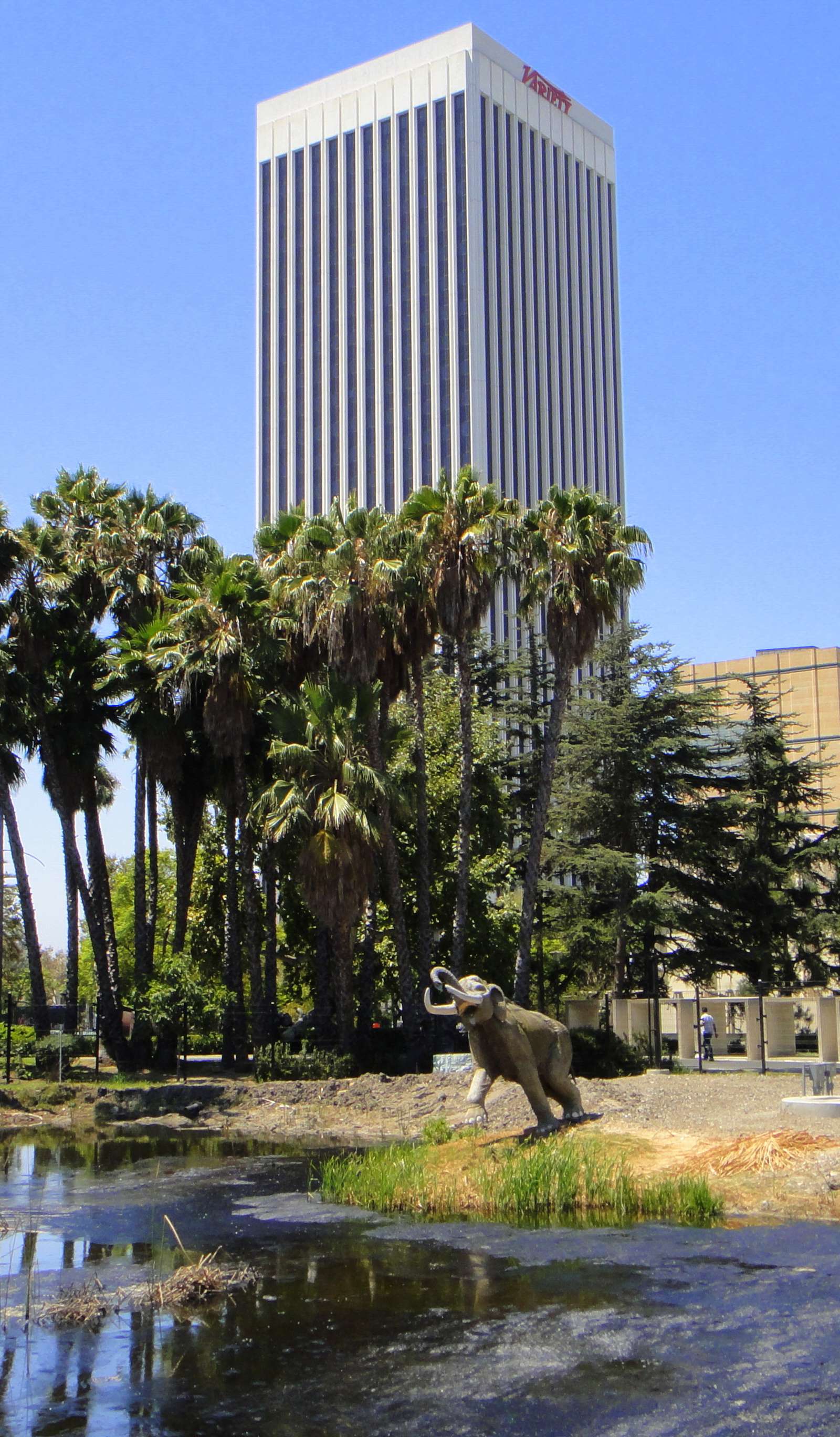 La Brea Tar Pits and Museum