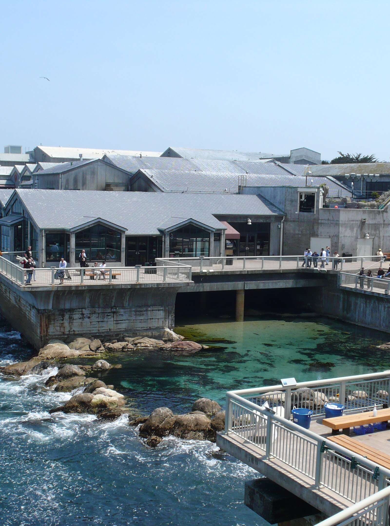 Monterey Bay Aquarium