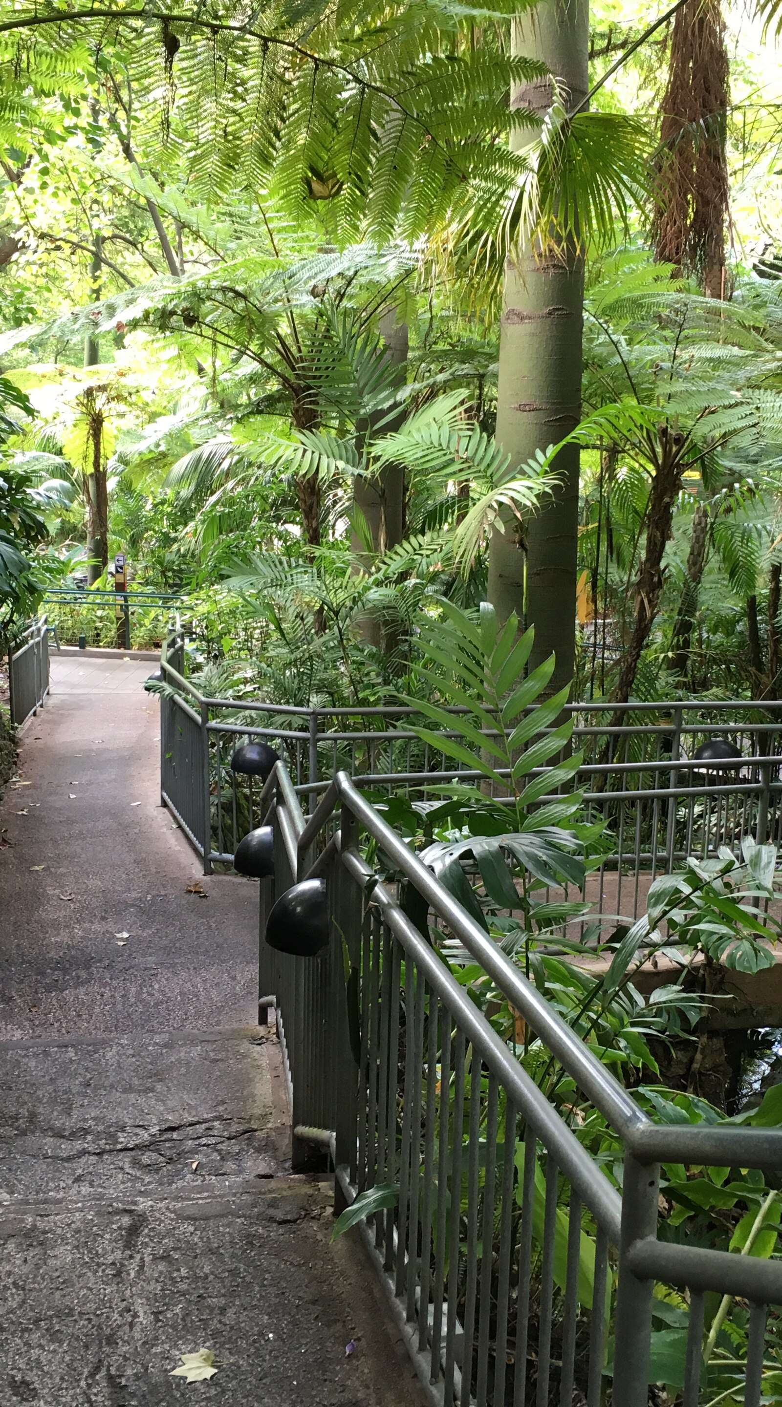 San Diego Zoo