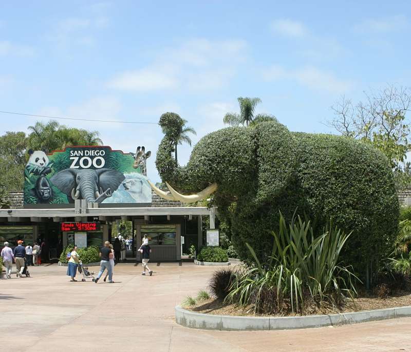 San Diego With Kids: Balance Big Attractions With Free Outdoor Stops