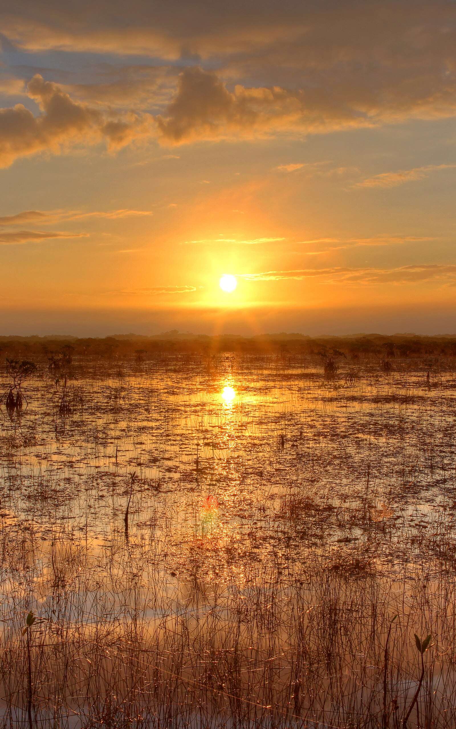 Everglades National Park