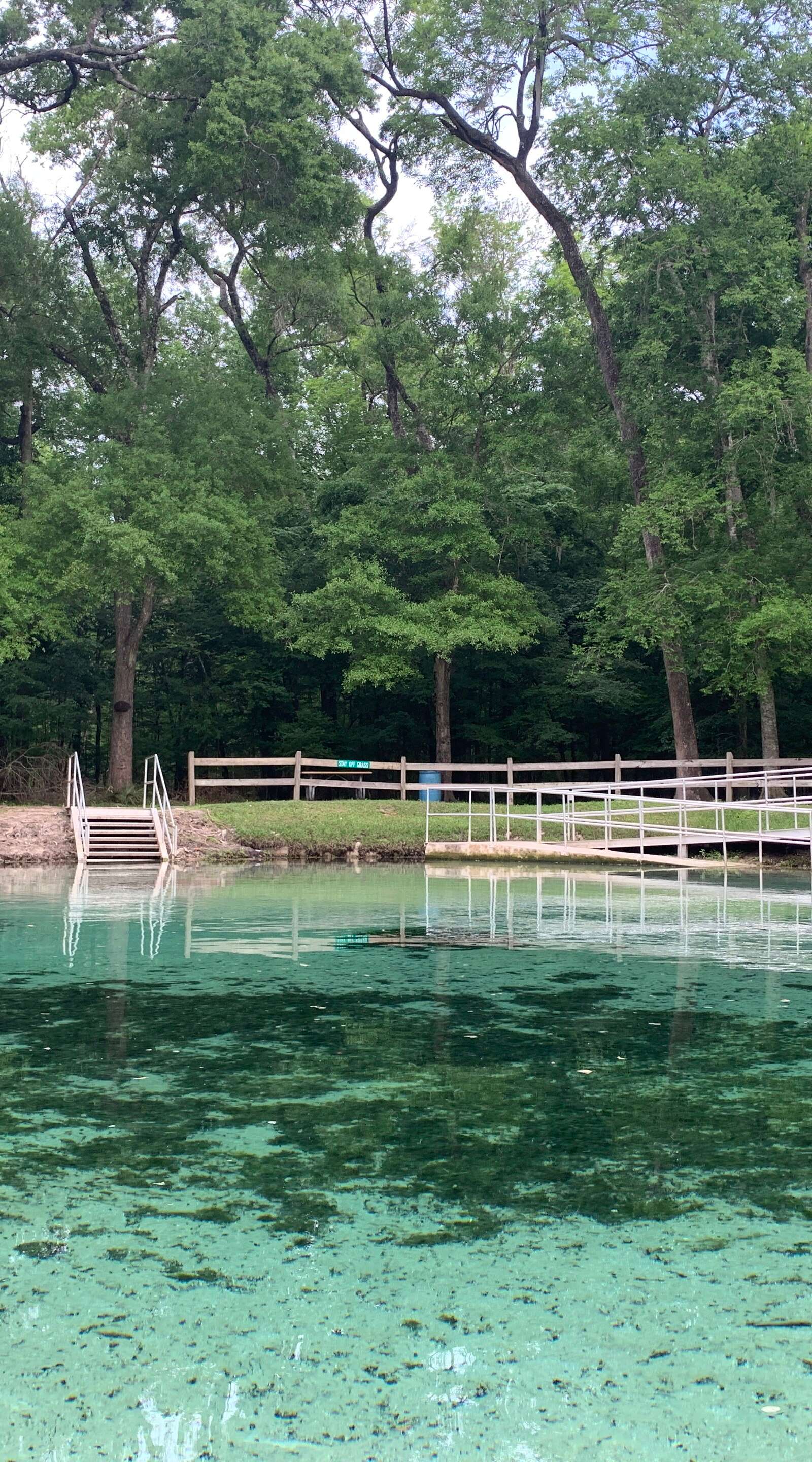 Ginnie Springs