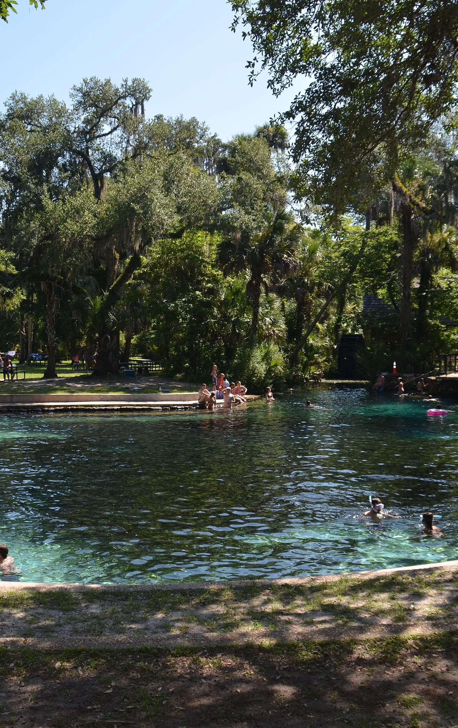 Ocala National Forest