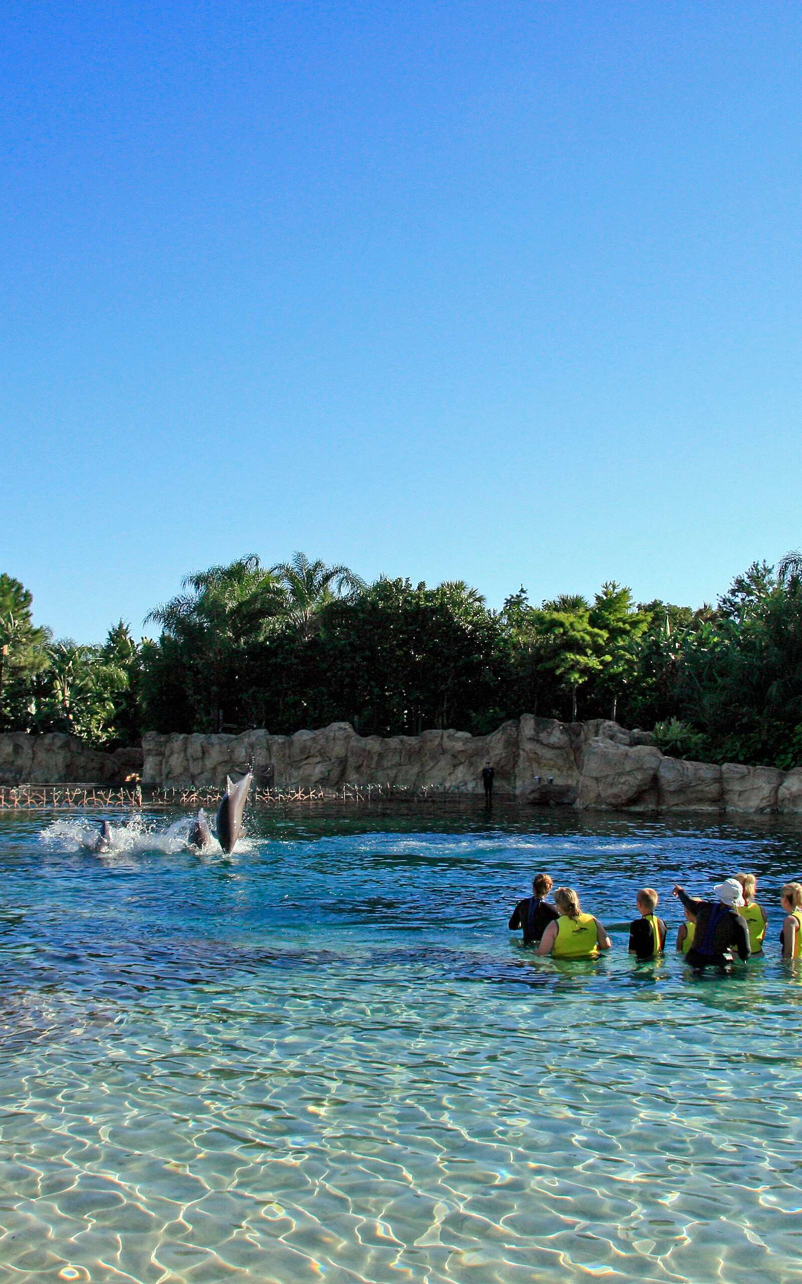 Discovery Cove