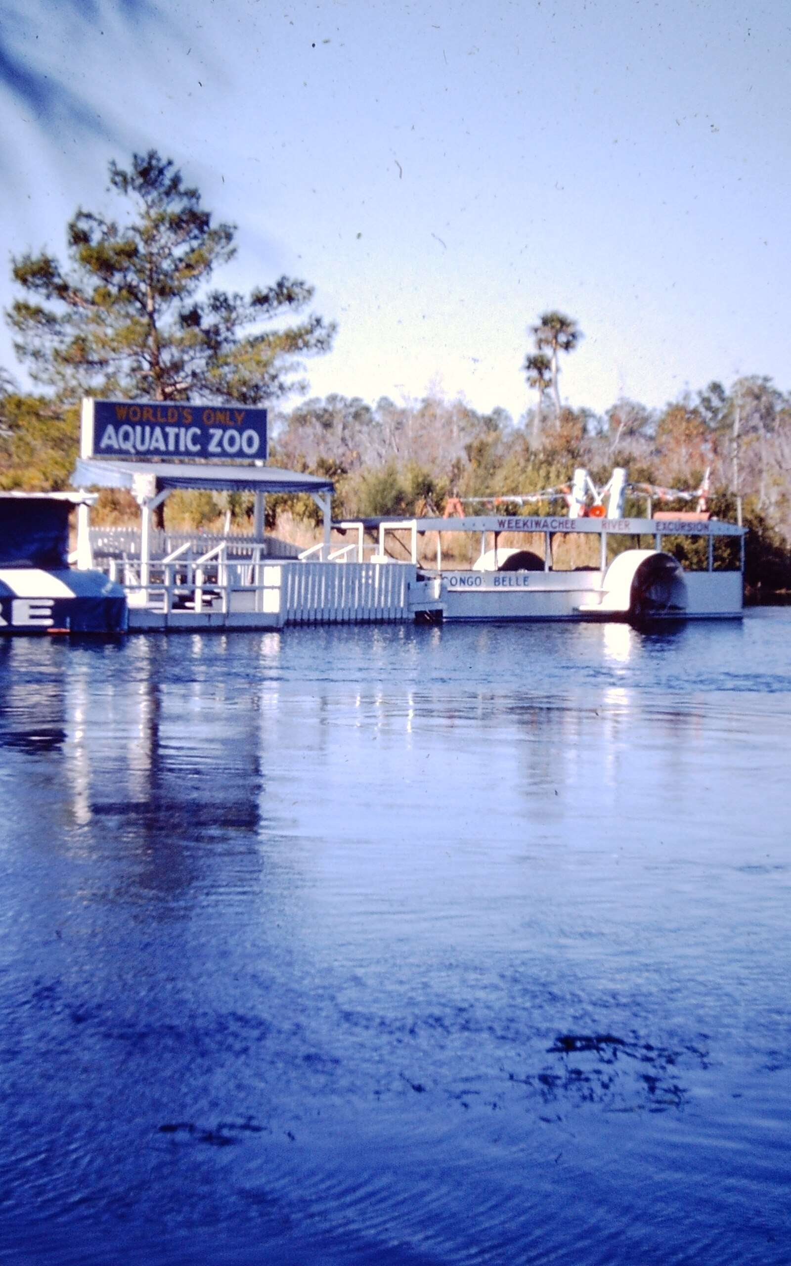 Weeki Wachee Springs State Park