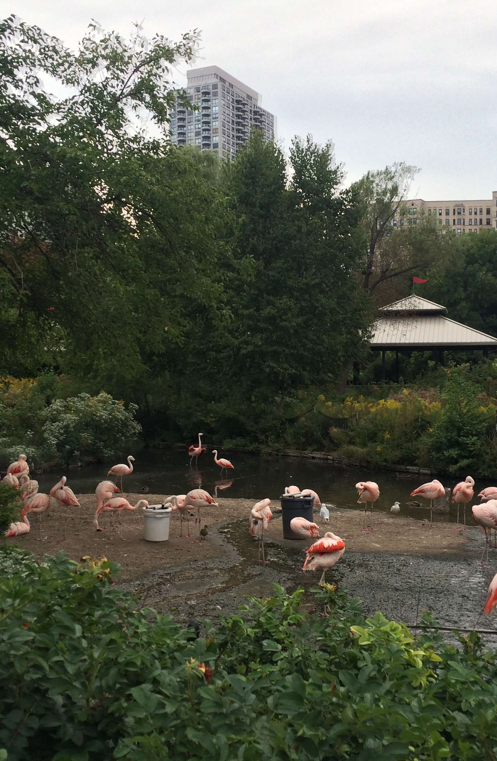 Lincoln Park Zoo