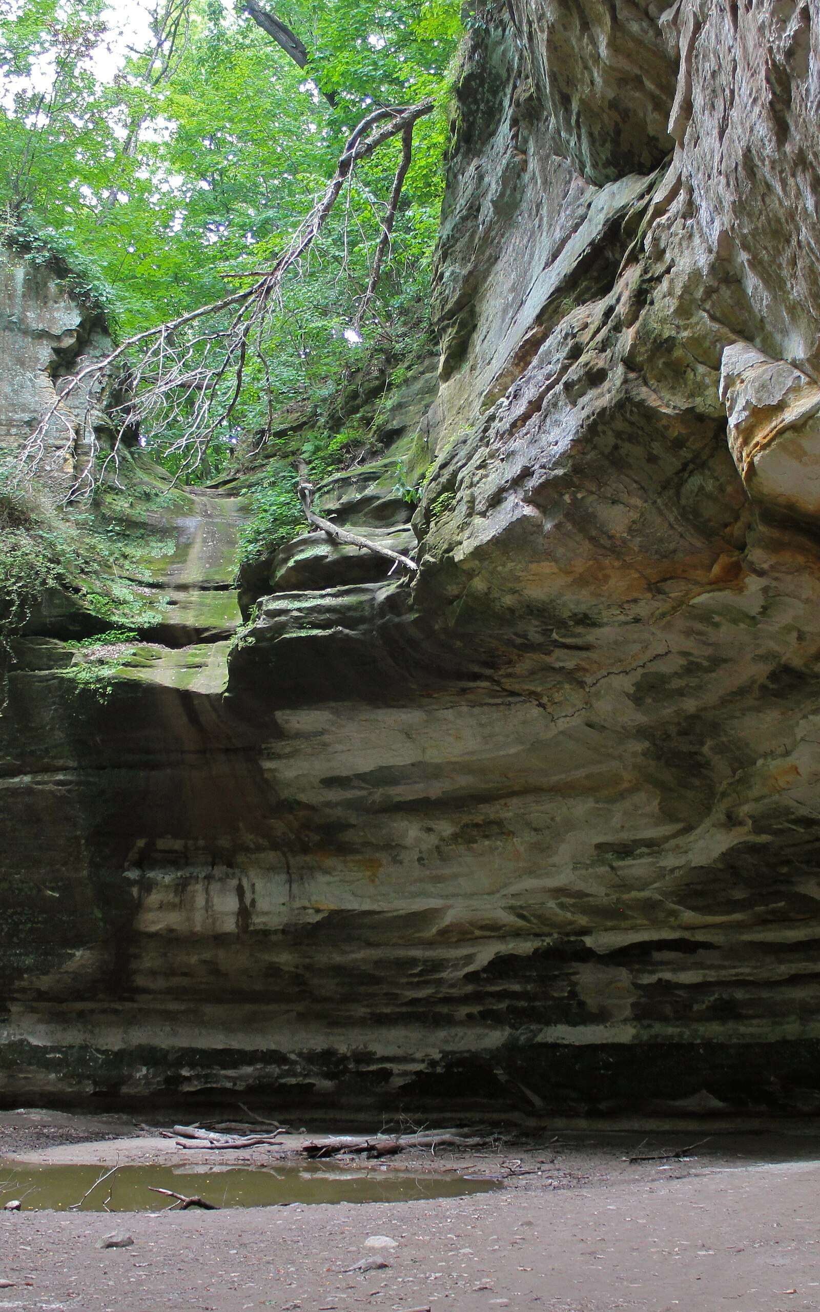 Starved Rock State Park