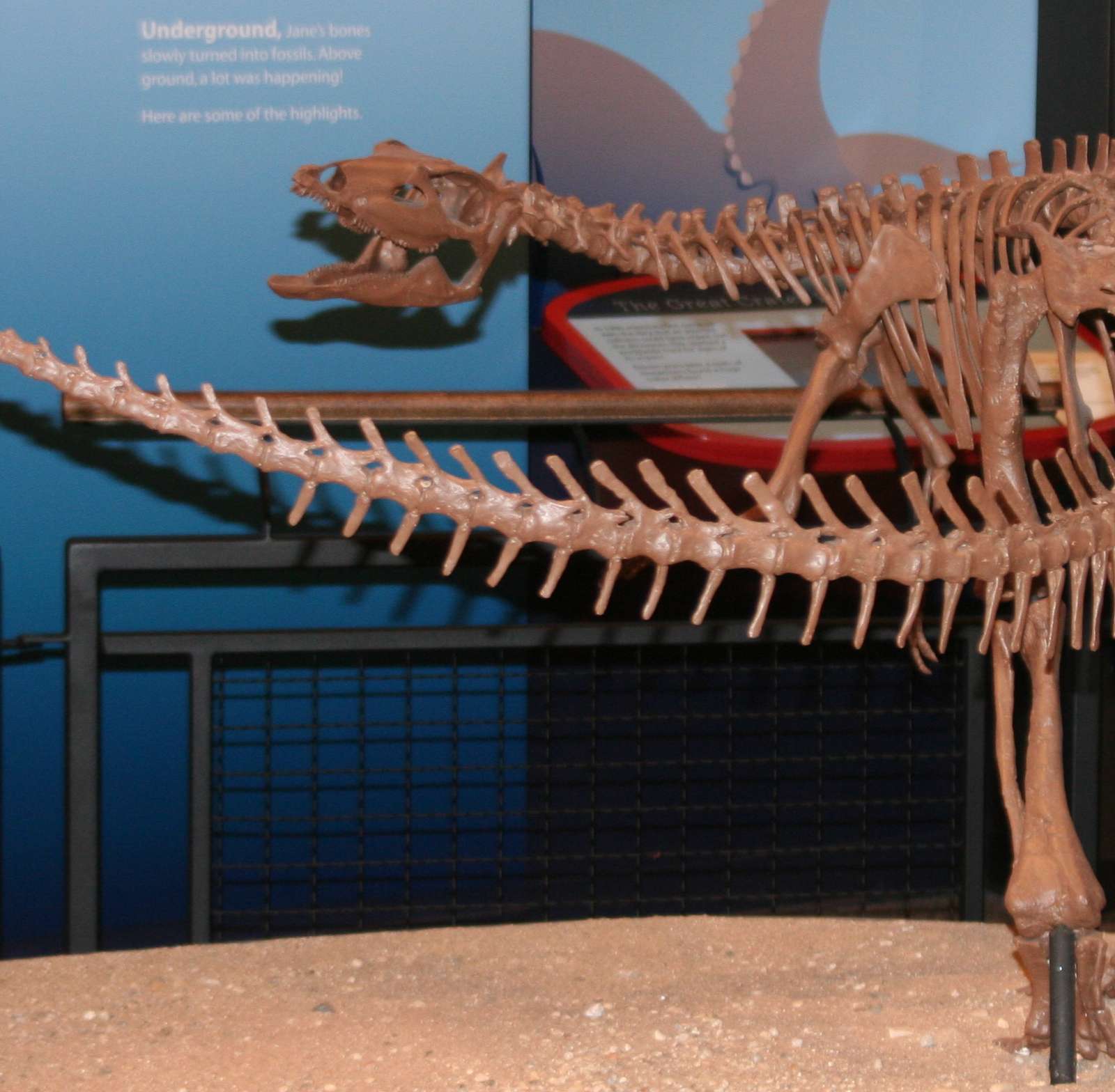 Burpee Museum of Natural History