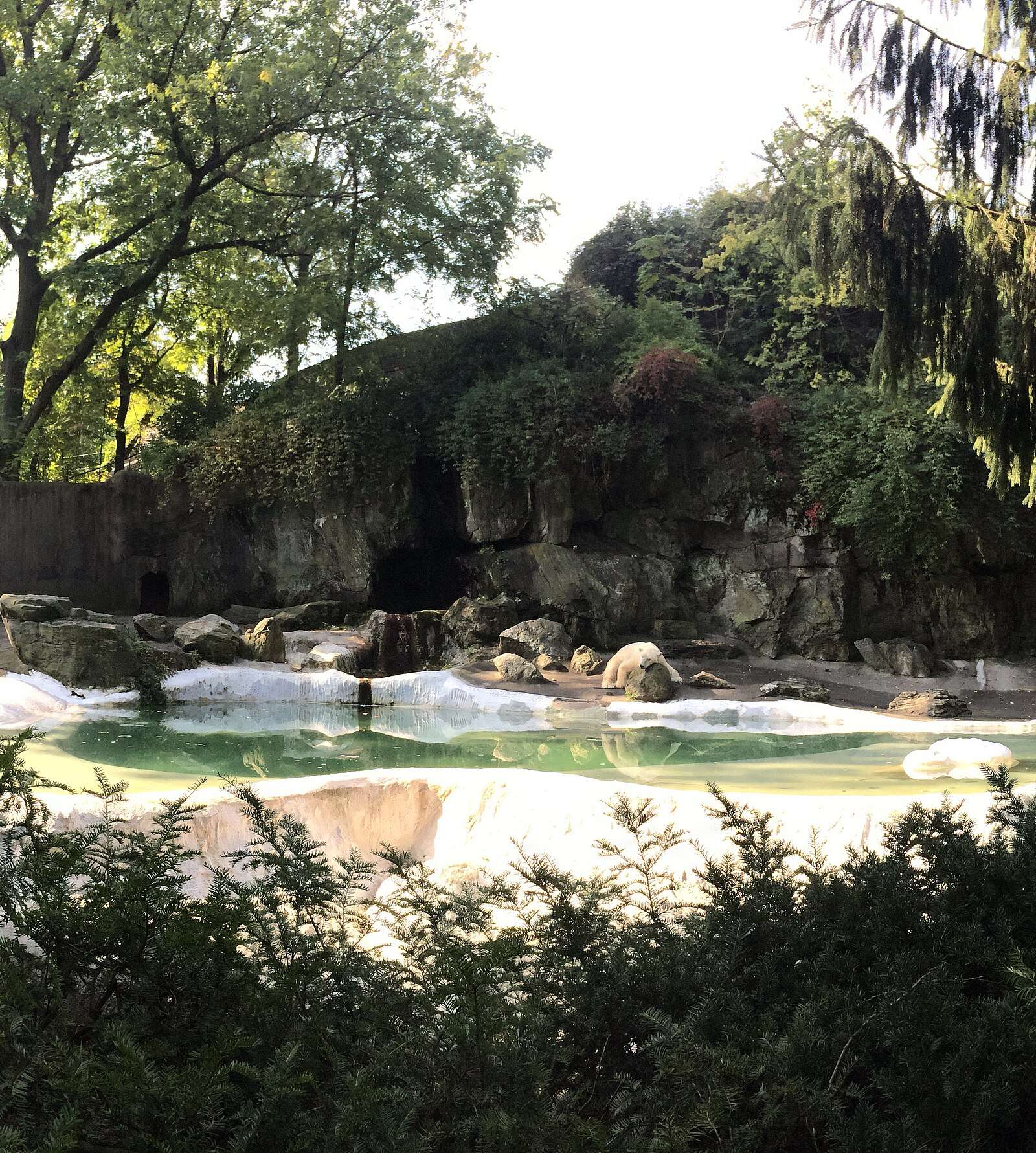 Bronx Zoo