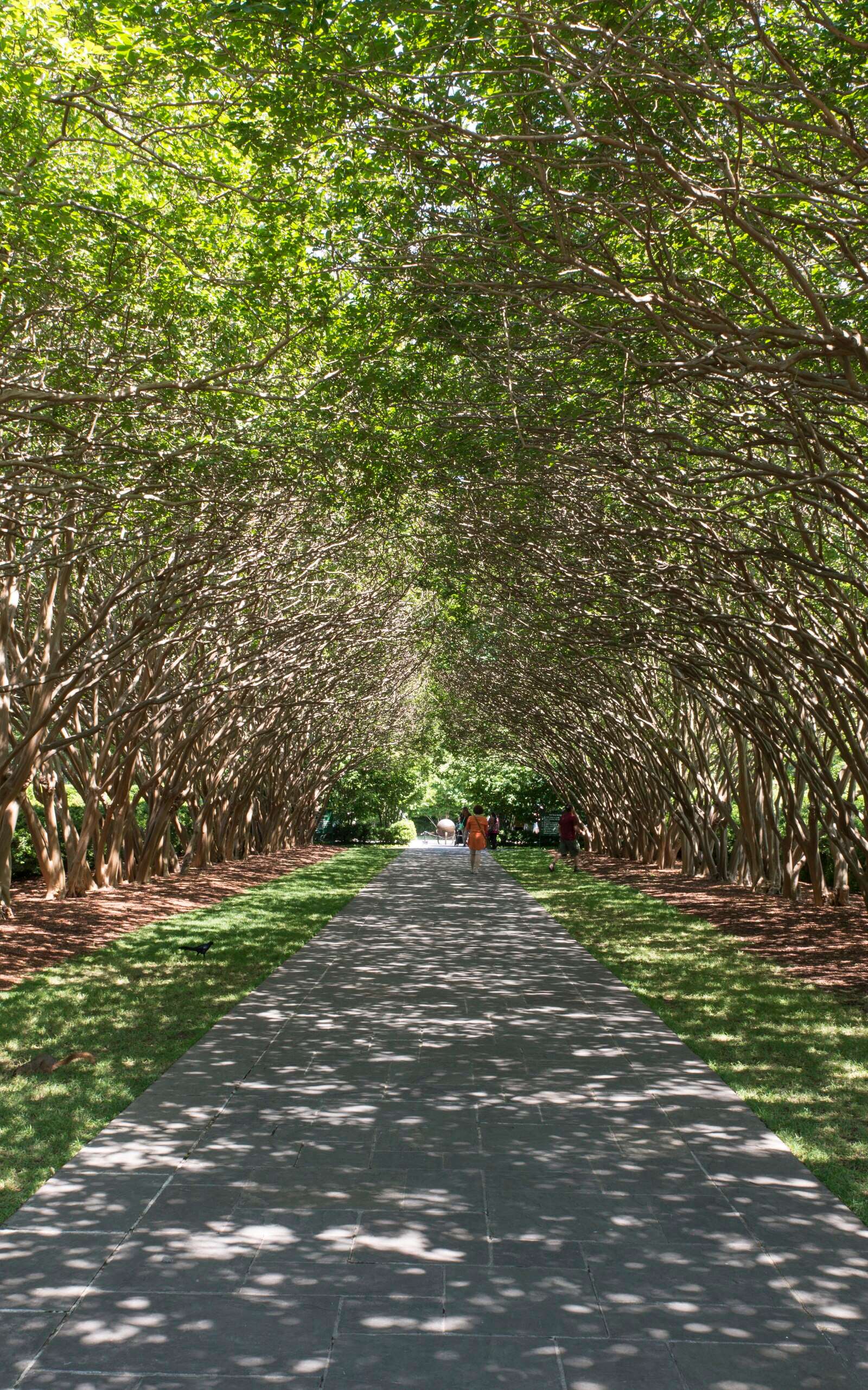 Dallas Arboretum and Botanical Garden