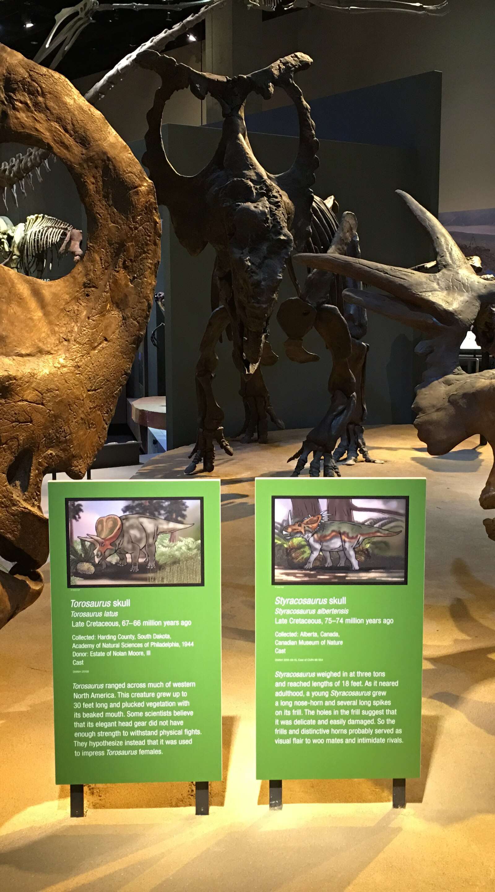 Perot Museum of Nature and Science