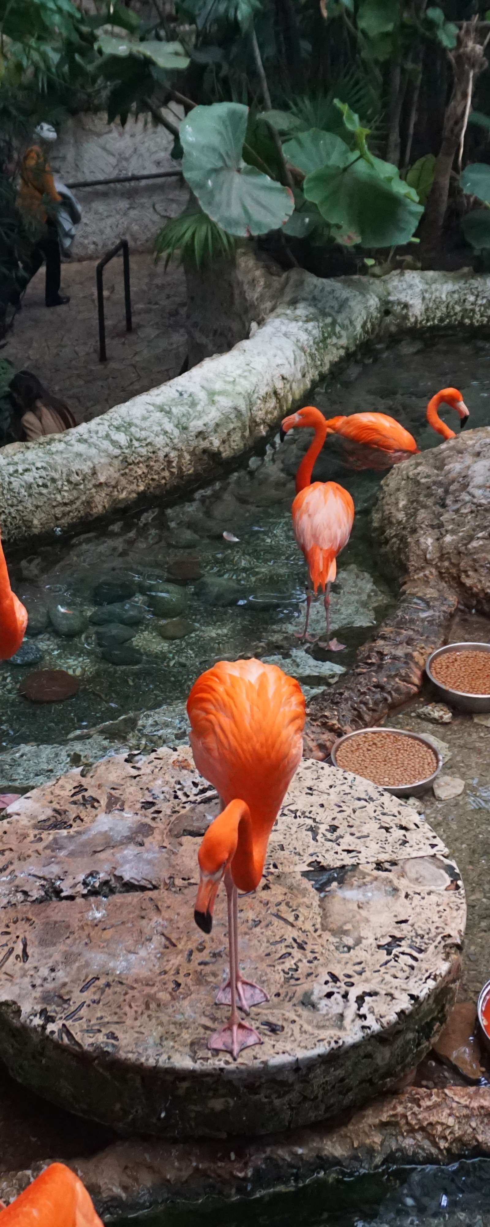 The Dallas World Aquarium