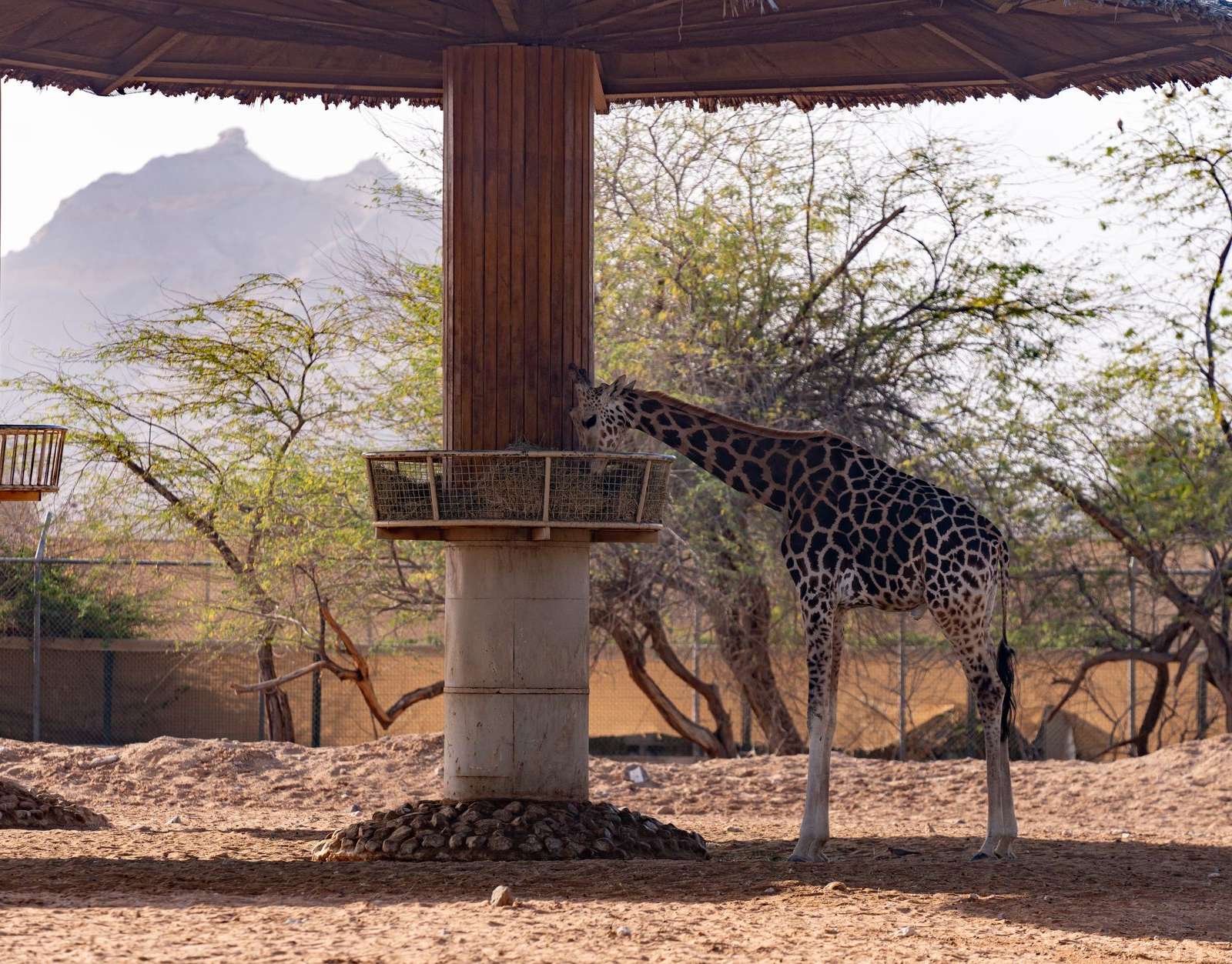 El Paso Zoo and Botanical Gardens